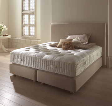 Somnus Marquis 9500 Divan - Divan Beds